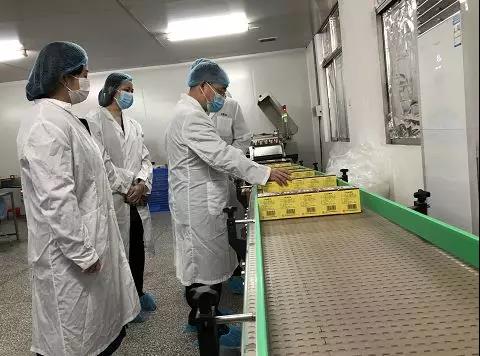 同心抗疫，，确保质量！！！Z6人生就是博公司振隆厂外车间接受广药集团生产监视包管小组事情督导