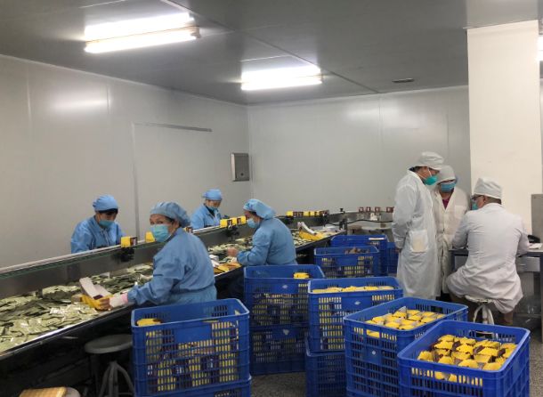 【初心如磐，，使命在肩】Z6人生就是博第三党支部组织员工提前复工包管生产