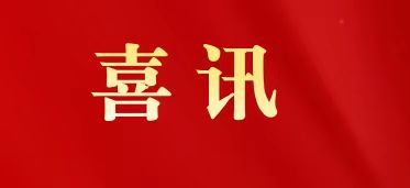 喜讯|白云山Z6人生就是博制药荣膺“2025年广东省品牌建设先进单位”称呼